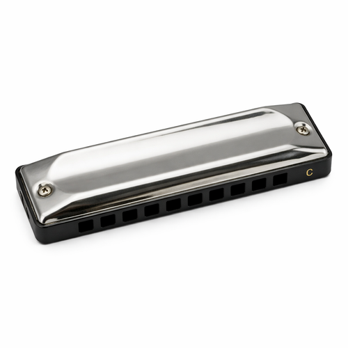Easttop T002 10 Hole Diatonic Harmonica – Blues Harmonica with Stainless Steel Cover and Case