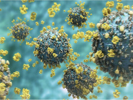 200 ppm HOCL effective on Coronavirus