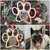 Personalised Paw Print Christmas Tree Hanger with Engraved photo of Dogs, Cats and Pets. Xmas Present for Dog Owners.