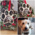 Personalised Paw Print Christmas Tree Hanger with Engraved photo of Dogs, Cats and Pets. Xmas Present for Dog Owners.