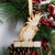 Personalied Parrot Xmas Tree Hanger, Christmas Gift forParrot Lover and owners