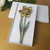 Daffodil Home Decor, St Davids Day Keepsake, Welsh Holiday Souvenir, Wales National Flower