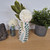 Leaf and Vine handpainted Square Bud Vase.
Small Decorative Flower Holder, Glazed and Fired. Holds fresh, Dried or Artificial Flowers and Leaves