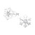 Snowflake Stud Sterling Silver Earrings