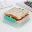 Lunch TO GO Sandwich Box 450ml - Assorted