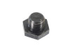 Oil Drain Plug, Each