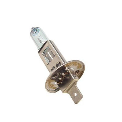 H1 55w Halogen Bulb, Each