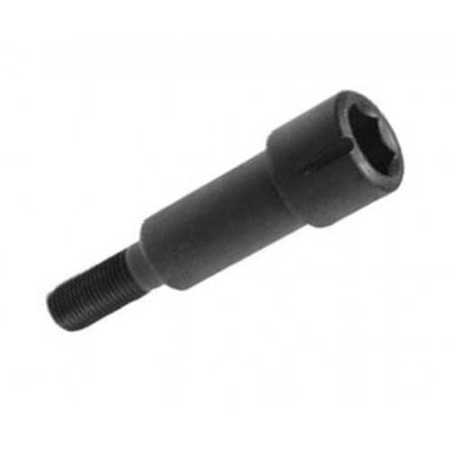 Pivot Bolt, IRS Trailing Arm, Each