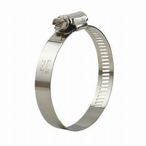 48 Size Hose Clamp, Box of 10