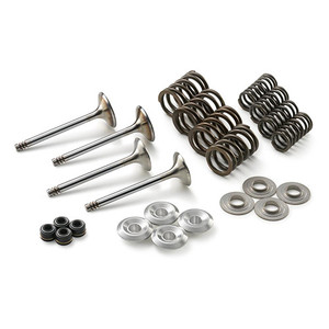 VALVE KIT 250-525 SX/EXC 03-09 Various (59036030010) (59036030010)