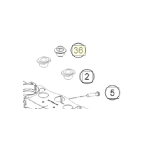 Collar screw M20x1.5 SW17 Al (A46009082000)