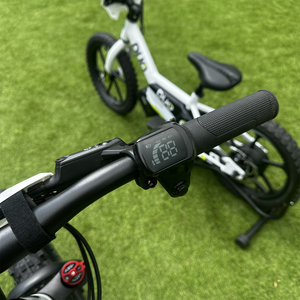 DUO Podium 20" - Electric Balance Bike | 7+ years old