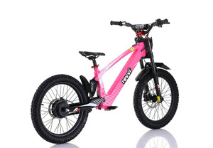 Revvi 20" Electric Bike
