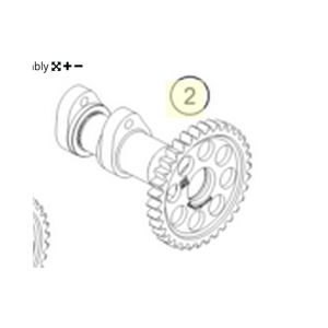 Exhaust camshaft (A46036510000)
