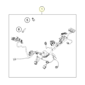 Main wiring harness (55711075100)