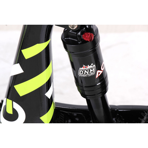 DUO 20" BLITZ - Electric Bike