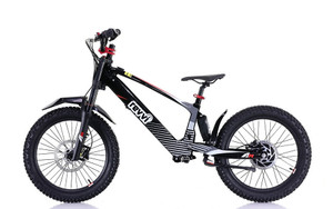 Revvi 20" Electric Bike
