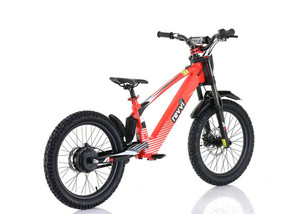 Revvi 20" Electric Bike