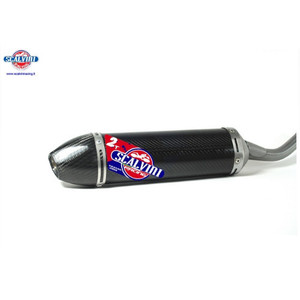 Scalvini | Full carbon Silencer HTM Husqvarna EXC 250/300 2020-2021 TE 250/300 2020 (002.016244)