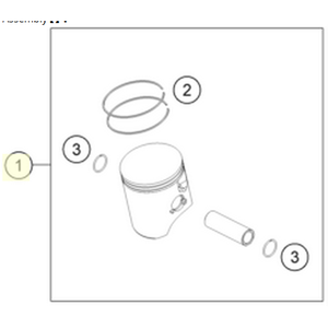 PISTONKIT II (55630107000 II)