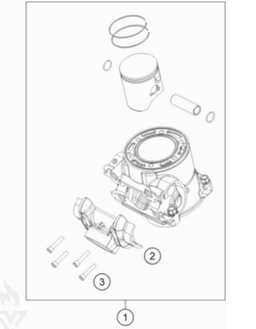 OEM Cylinder and Piston Complete Kit KTM EXC 300 2017 (55630038000)   includes the complete OEM Cylinder, Connection Flange, Screws and Piston and Piston Rings.