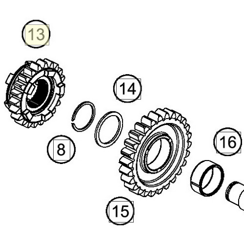Sliding gear 5th Z=22 (54833215100) (54833215100)