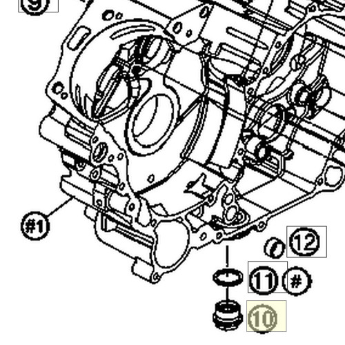 DRAIN PLUG W. MAGNET (58038019050) (58038019050)
