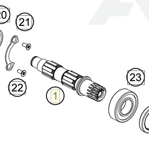 Output shaft (79533010000) (79533010000)
