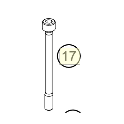 Cylinder head bolt (79530044000)