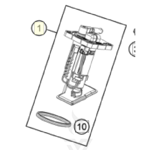 Fuel pump (A46007088200)