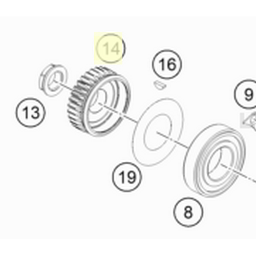 primary gear 31t (79432023231)