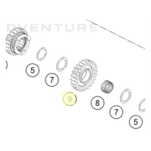 Idler gear 3rd g 24 teeth (79333013000)