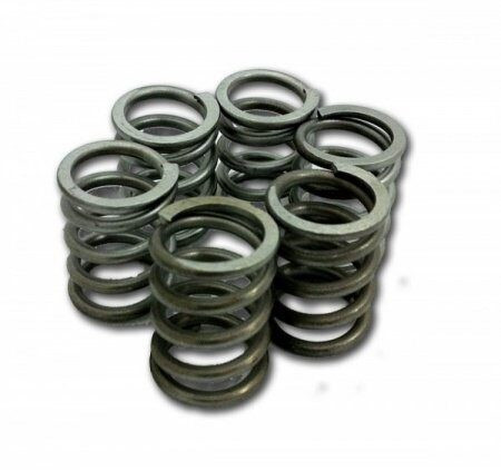 Genuine 65 SX/TC/MC Clutch Springs Kit, Pack of 6
