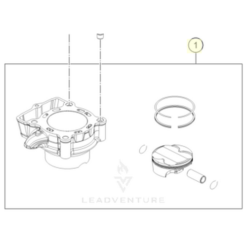 CYLINDER AND PISTON (79030038000)