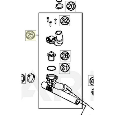 RADIATOR HOSE W. THERMO. ཊ (54835626033) - Judd Racing