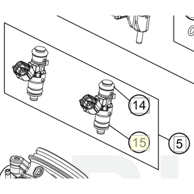 O-ring (55641023010) - Judd Racing