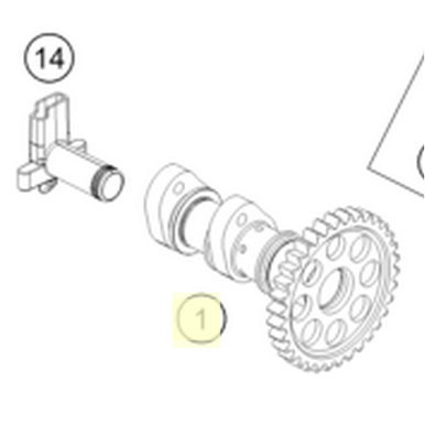 CAMSHAFT INTAKE (79236009000)