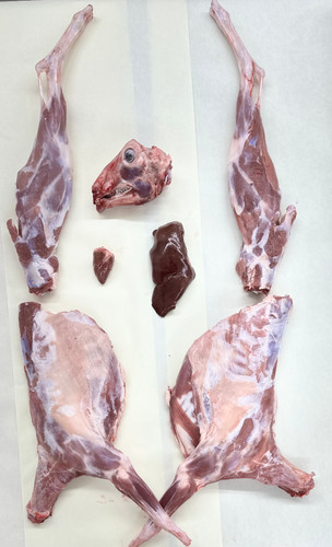 Baby Goat Whole