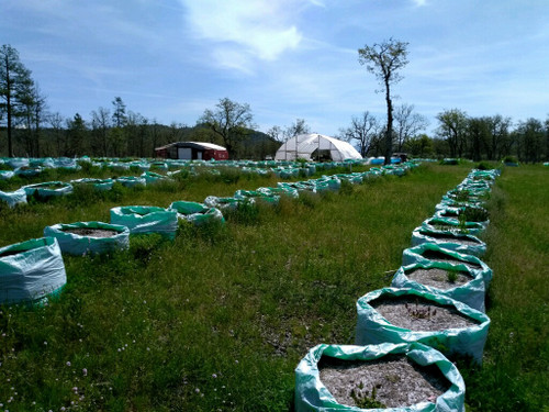 GREEN TOTE 200 GALLON WITH STRAPS