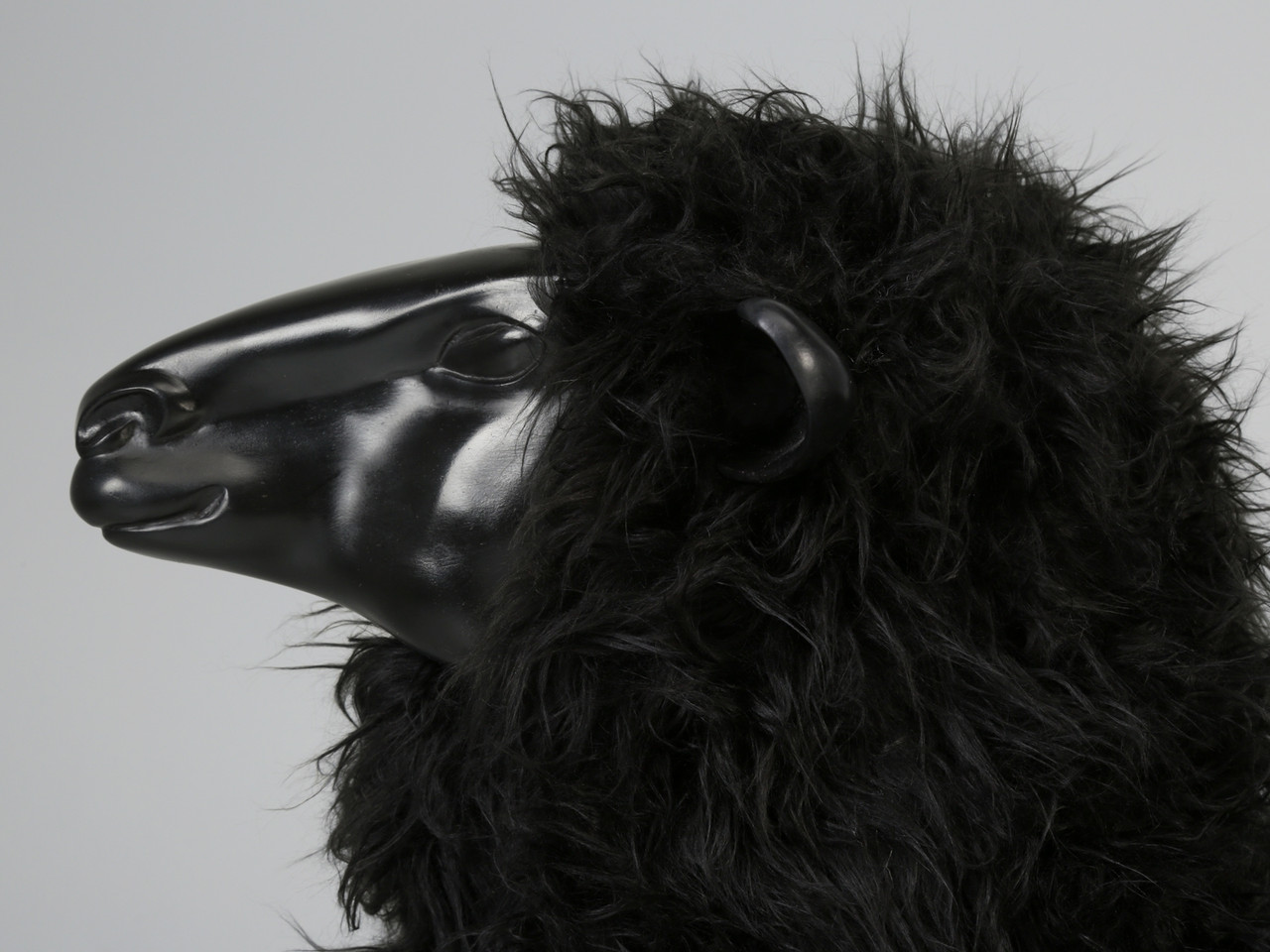 Old Plank Black Sheep in Resin | Old Plank