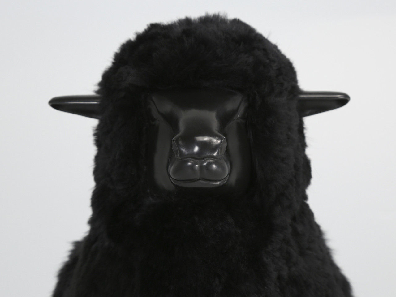 Old Plank Collection Baby Black Lamb | Old Plank