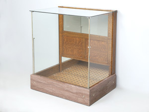 Wilmarth Crystal Umbrella/Cane Cabinet or Display Case Grand Rapid Michigan 1910-1920 Wilmarth Crystal Umbrella/Cane Cabinet or Display Case Grand Rapid Michigan 1910-1920