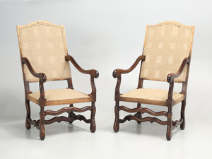 Pair Classic French Os De Mouton Dining Arm Chairs with Restored Frames and Coil Springs
