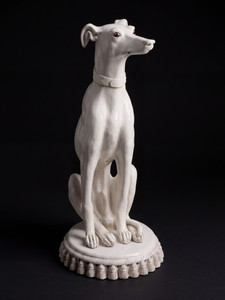 Whippet - Coming Soon