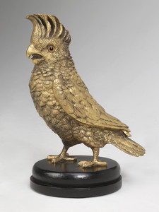 Bronze Cockatoo