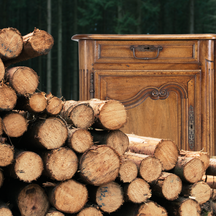 Sustainable Living: The Environmental Benefits of Choosing Reclaimed Wood Sustainable Living: The Environmental Benefits of Choosing Reclaimed Wood