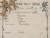Pressed French Botanical, circa 1897
