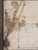 Pressed French Botanical, circa 1897