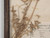 Pressed French Botanical, circa 1897