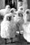Black & White Photograph of a Flock of Sheep Sheep Detail